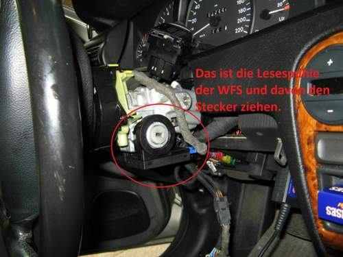 Img-2719