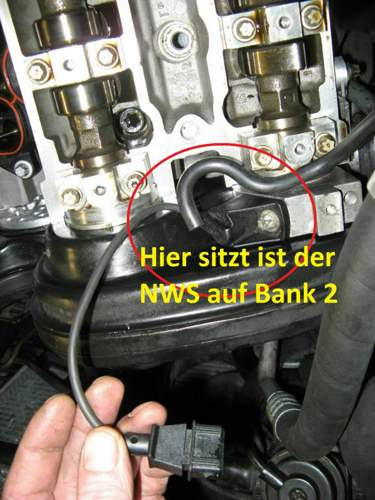 Nws-v6