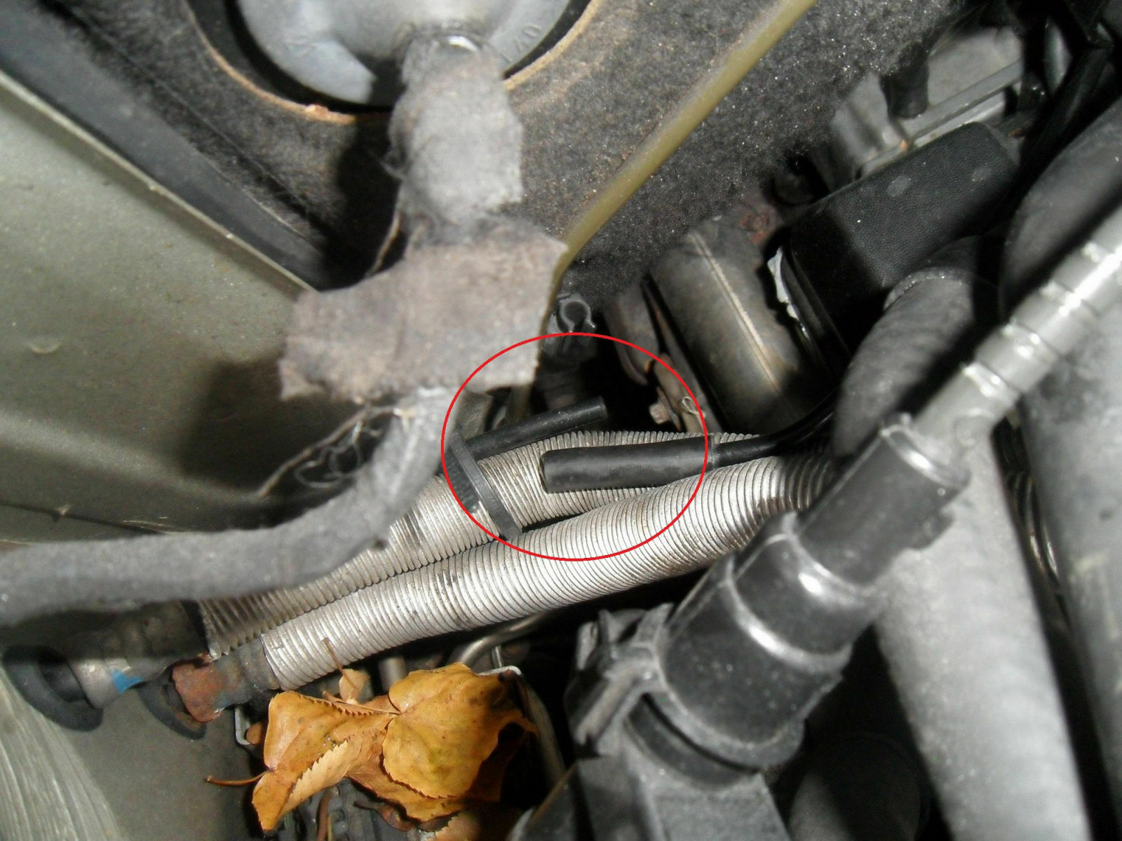 Omega B - Y32SE - Motor macht Geräusche