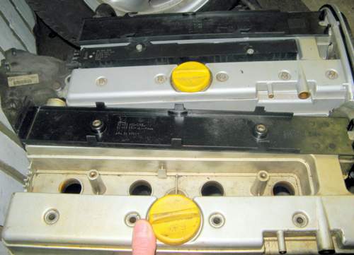 Img-4844