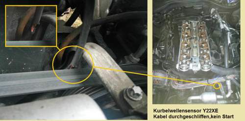 Kws-kabel-durchgeschliffen-y22xe