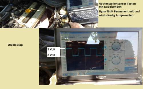 Nws-mt-oszi-testen