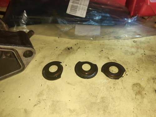 Z22XE Ventilfeder Unterlegscheibe