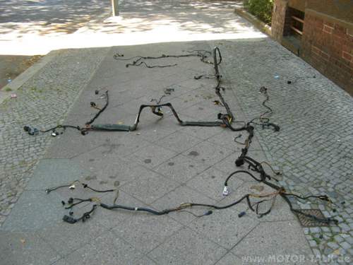 Img-3515