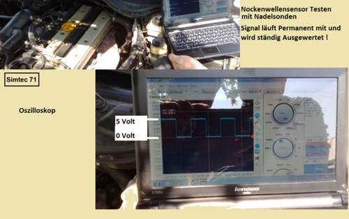 Nws-mt-oszi-testen