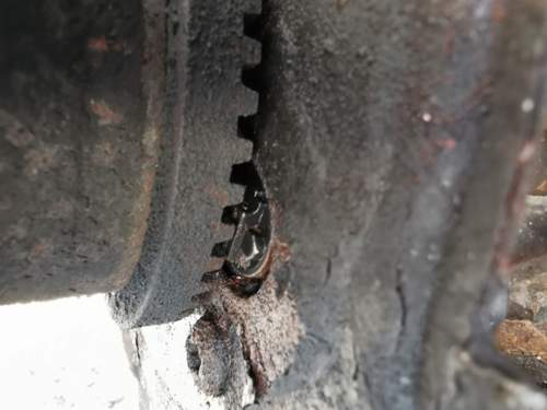 Img-20240817