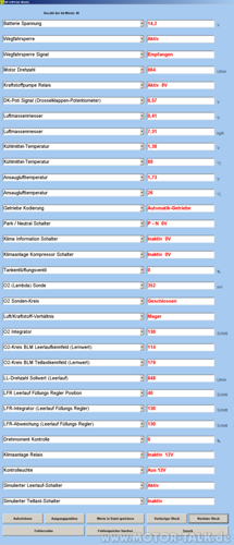 Auslesen-echtzeitwerte-mstg