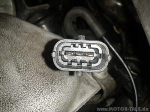 Kws-stecker-1
