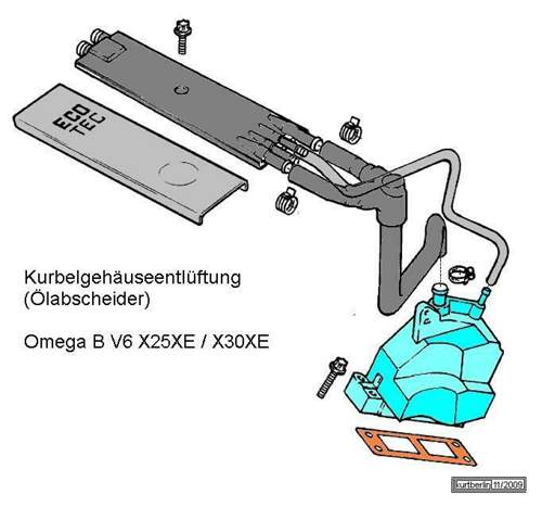 Kg-entl-oel-asch-v6-x-1
