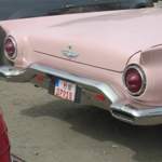 Img-0384