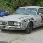 Img-0377