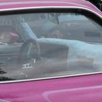 Img-0491