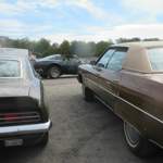 Img-0364