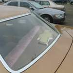 Img-0523