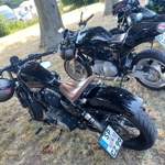 Sportster