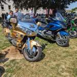 Gold Wing