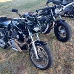 Harley Forty Eight & Buell