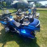 Gold Wing