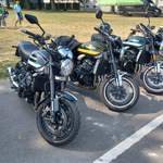 Ganz viele Z900 RS