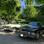 Img-20170611-113930