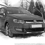 Polo im Winter II