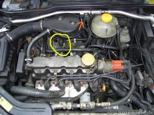 C14nz