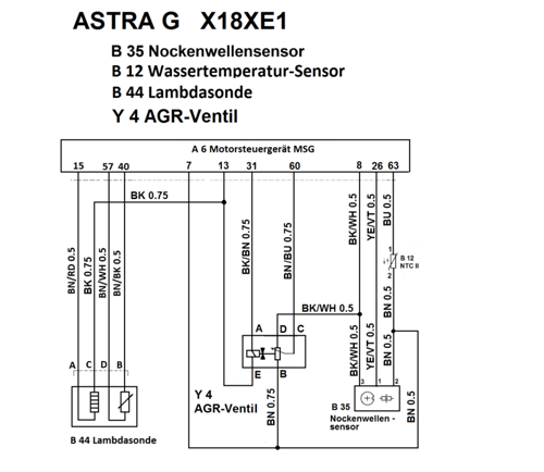 X18XE1 MSG Sensoren