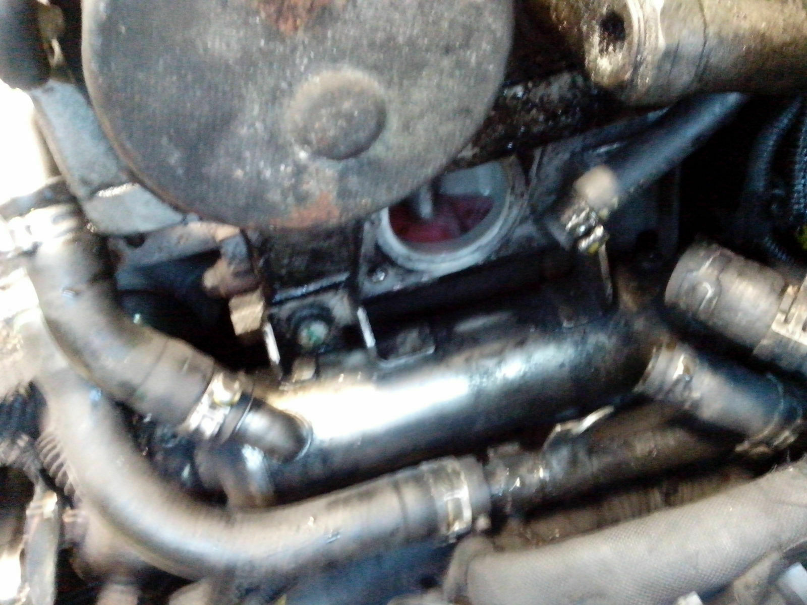 Opel Astra H GTC 1,9 CDTI was ist eine normale Motortemperatur 60 Grad?