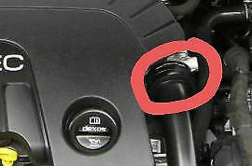 20200420_183205.jpg