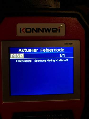 Fehler: P0313.jpg