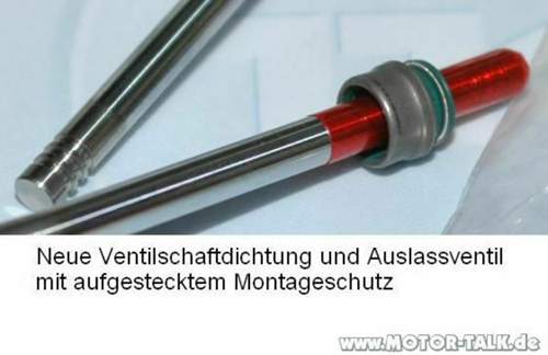 Montageschutz