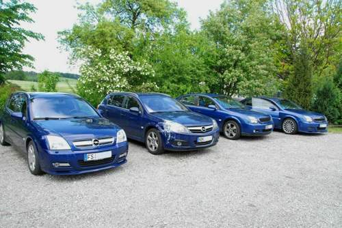 Die Blauen