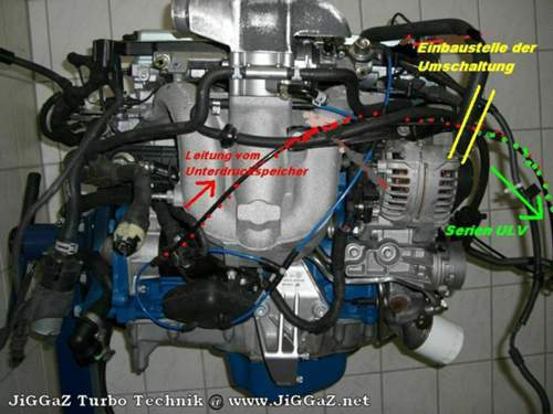 Bov2