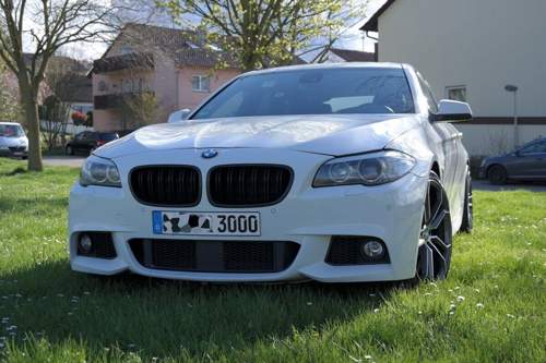 Sam-4213
