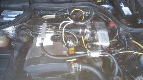 Handy-244