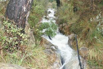 Dsc09683