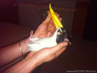 Img-0259