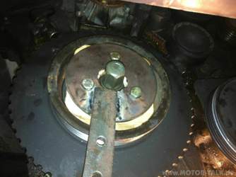 Img-0087-5