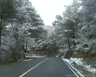 Pic-0202-003