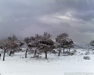 Pic-0202-019