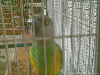 Pict0056