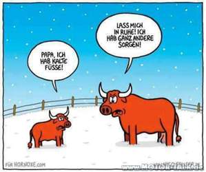 Bulle