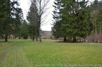 Gruene-wiese