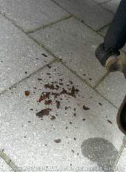 Img-20140405-153318