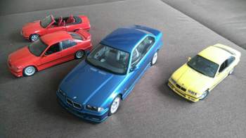 Bild-7