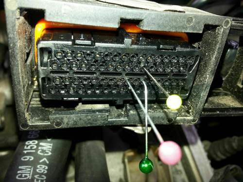 MSG-Stecker weiblich