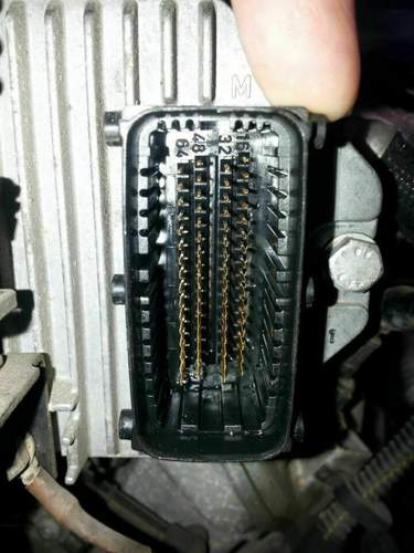 Z18XE MSG-Stecker männlich