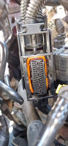 Motor Kabelbaum zum msg.jpg