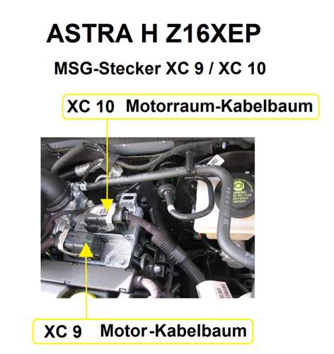 MSG-Stecker Z16XEP