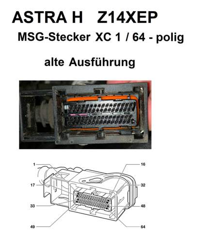 Pinnummerierung XC 1 MSG-Stecker